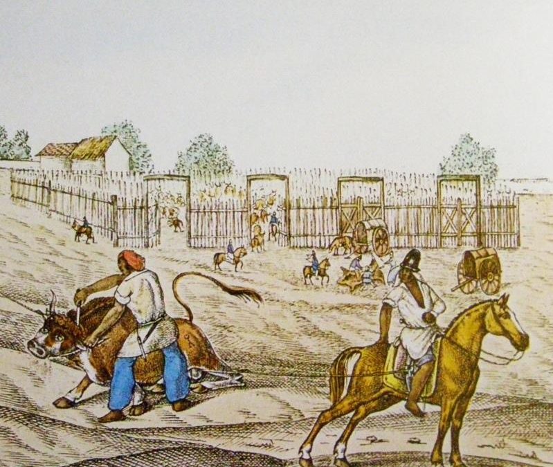 African Cowboys on the Argentine Pampas: Their Disappearance from the Historical Record