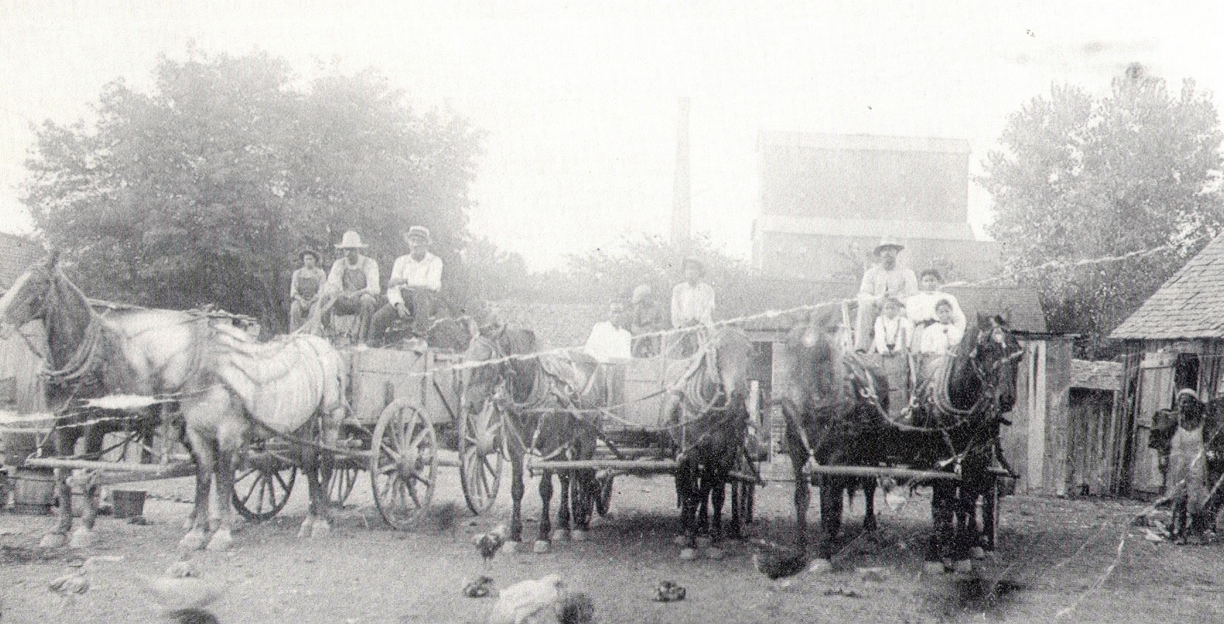 Men, Women and Children of Nicodemus, Kansas, 1897