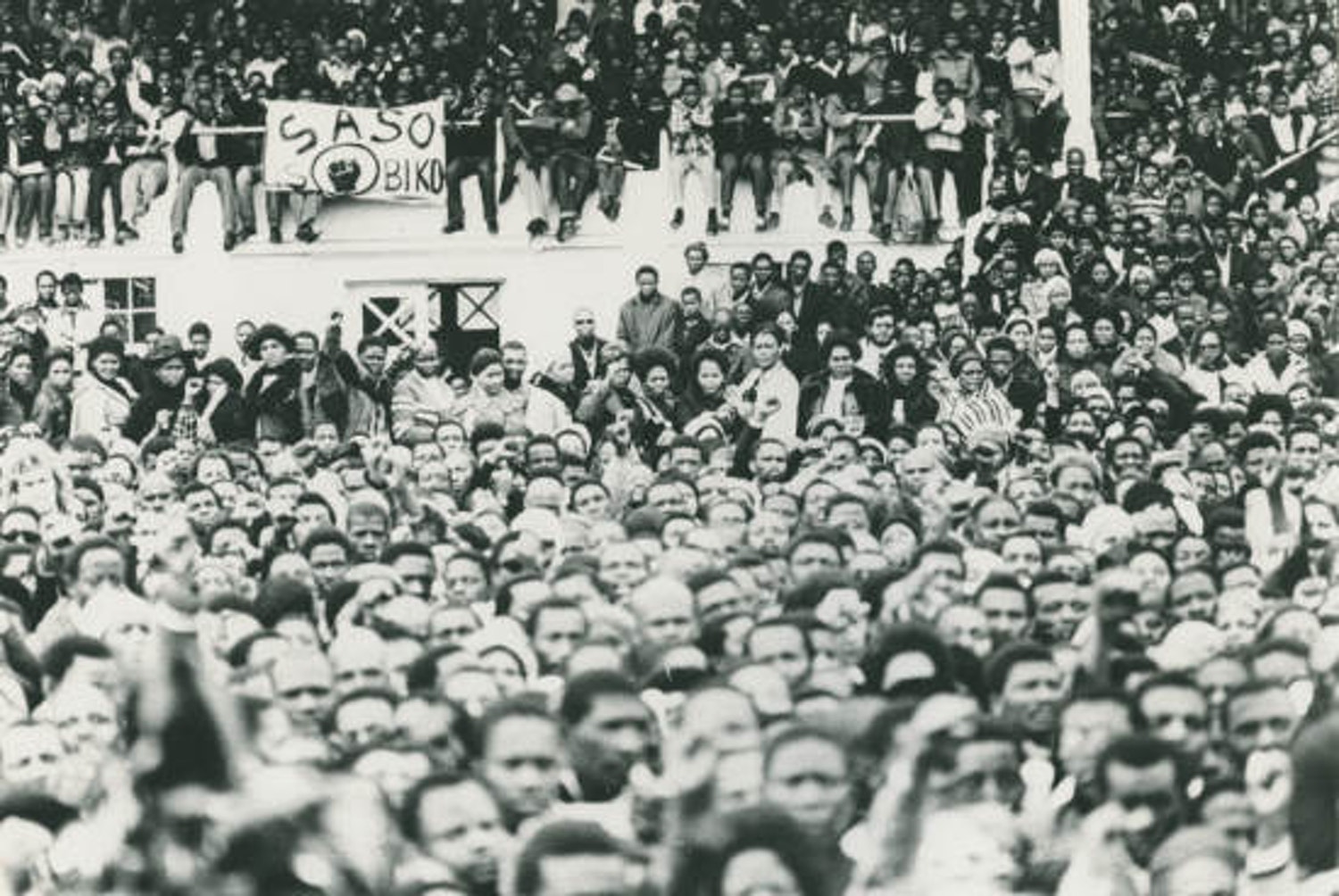 Steve Biko memorial, 1977