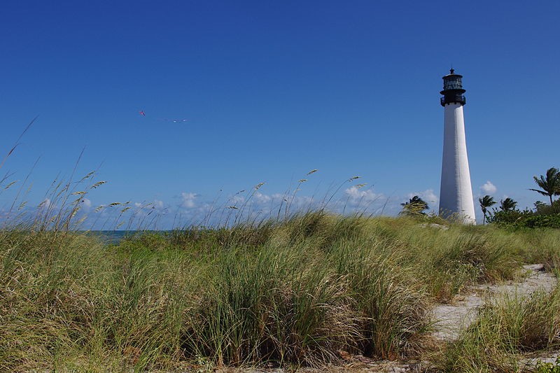 The Saltwater Railroad (1821-1861)