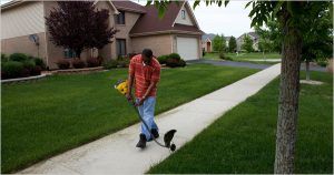 Black Suburban Scene (New York Times)