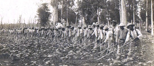 Mississippi State Penitentiary at Parchman (1901 – )