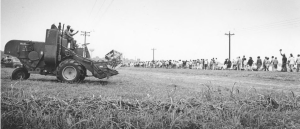 Farmworkers on Tractor Salute Marchers (Stanford University)