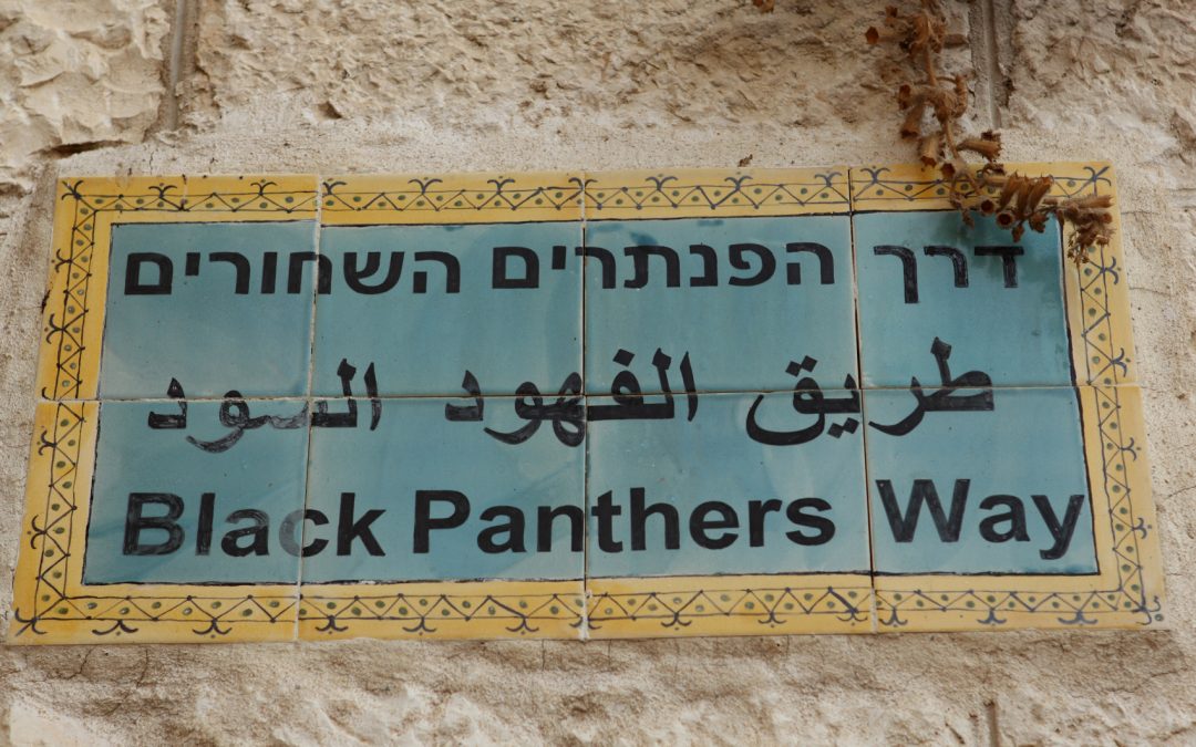 Israeli Black Panther Party (1971-1977)